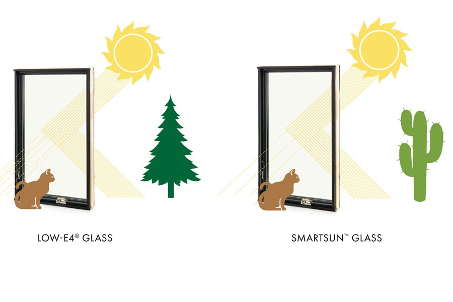 illustration of cat looking out window with sun rays