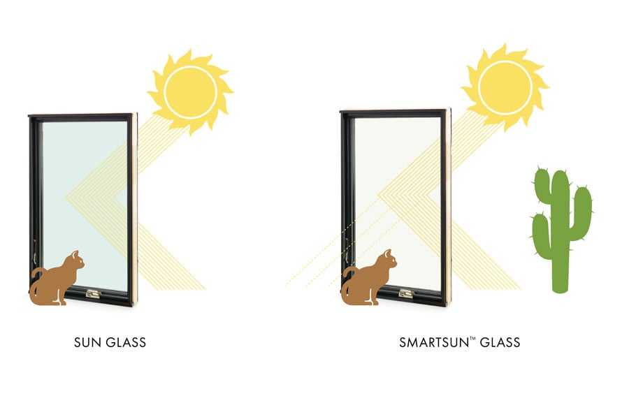 illustration of cat looking out window with sun rays