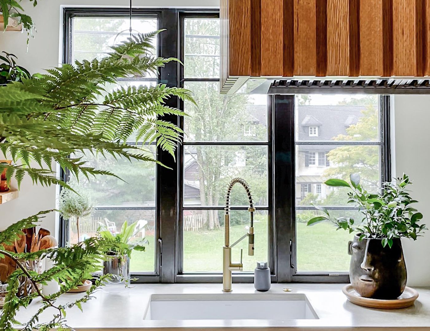 A kitchen sink with a potted plant and black casement windows with a horizontal grille pattern.