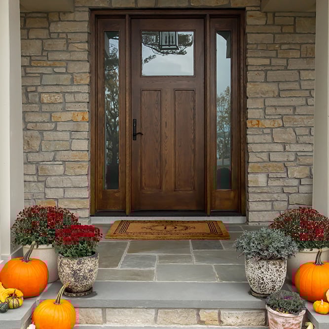A dark wood front door with a window in the upper third and sidelights, surrounded by pumpkins and potted plants.