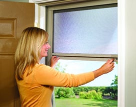 Window Screen Safety