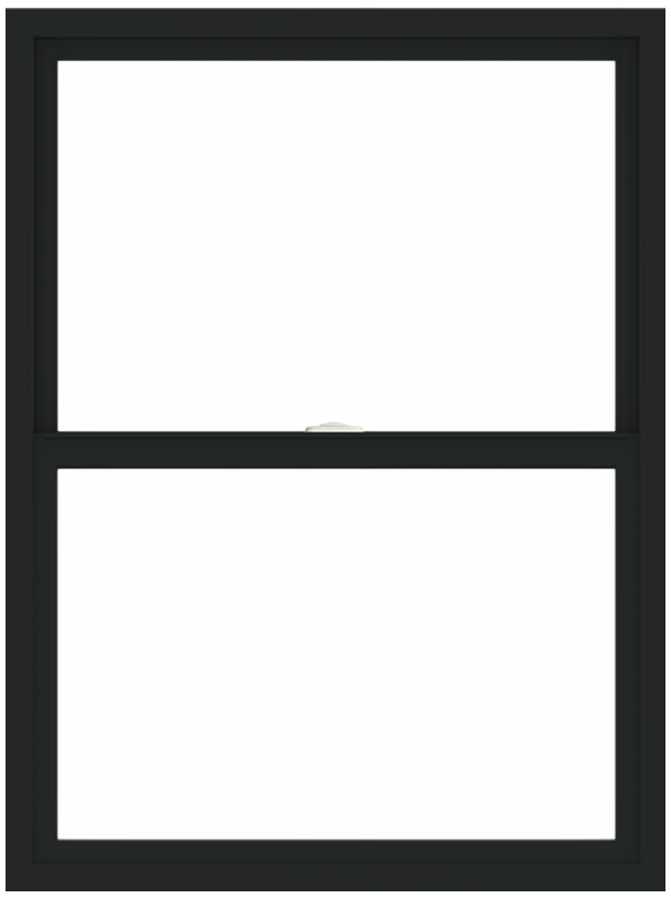 andersen 100 series single-hung window with black trim