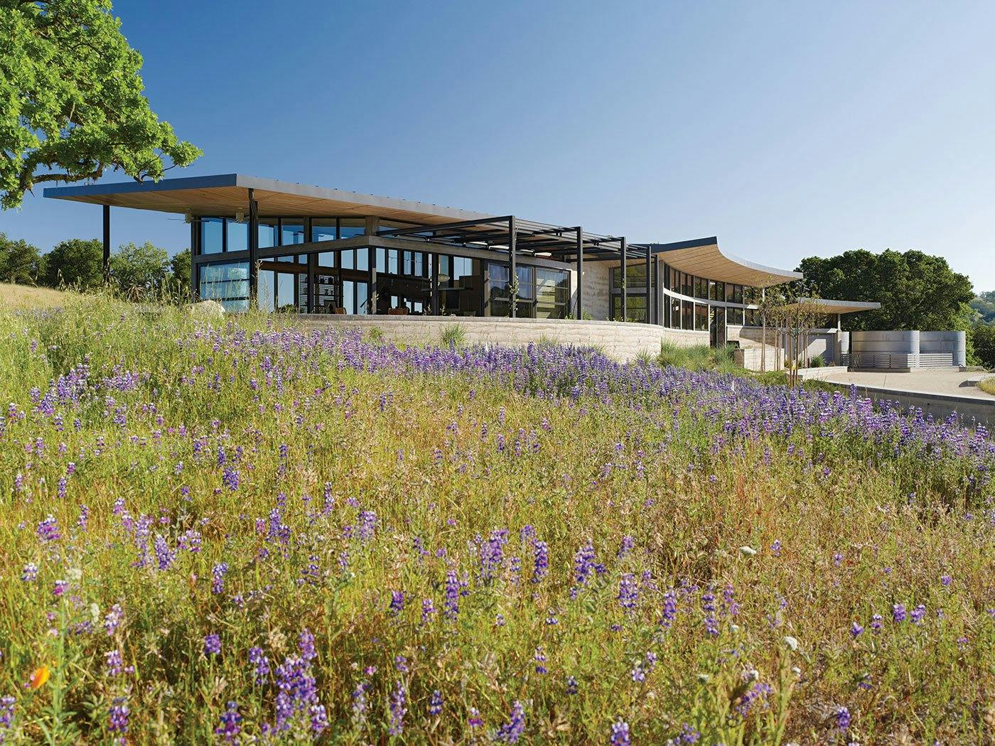 A modern ranch that spreads horizontally across the top of a hill with large overhangs and walls made of glass.